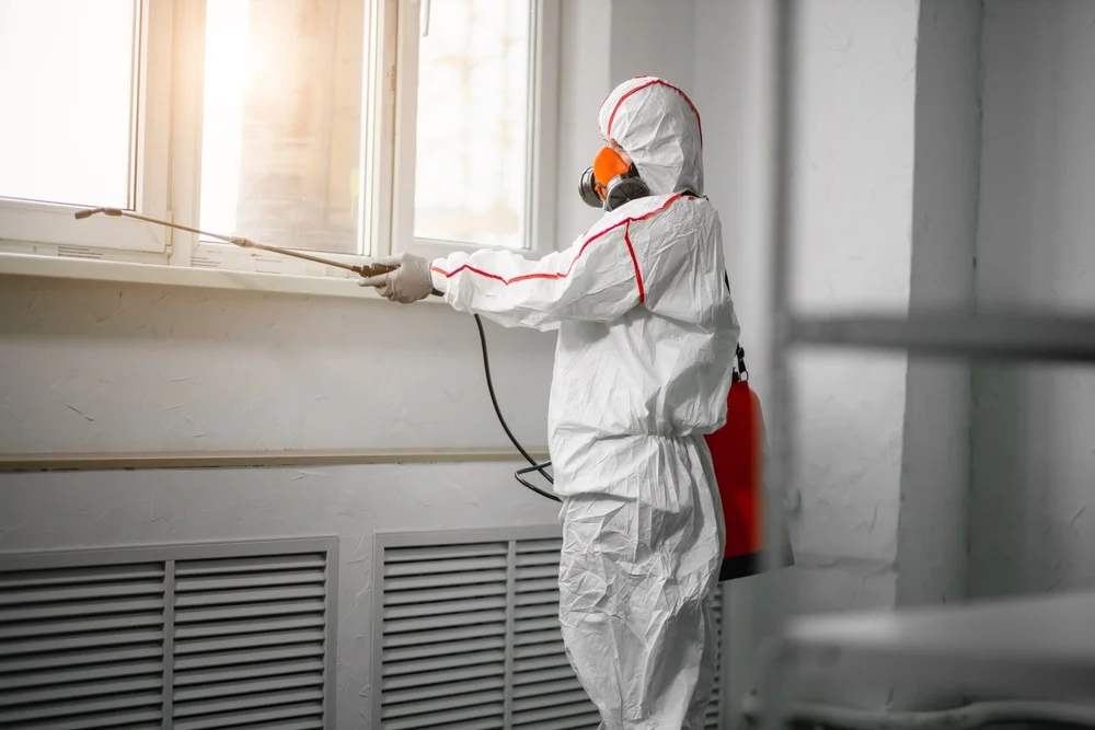 Professional mold remediation services in Sidney, OH
